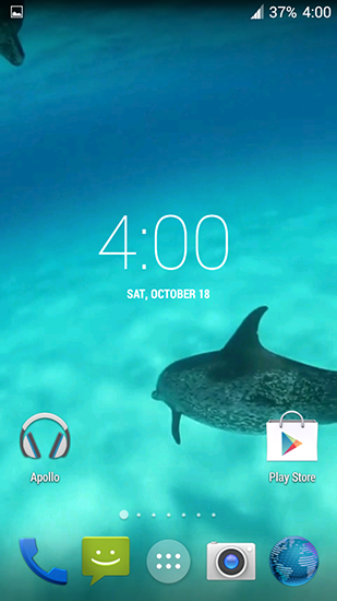 Скачать бесплатные живые обои для Андроид на рабочий стол планшета: Dolphins HD.