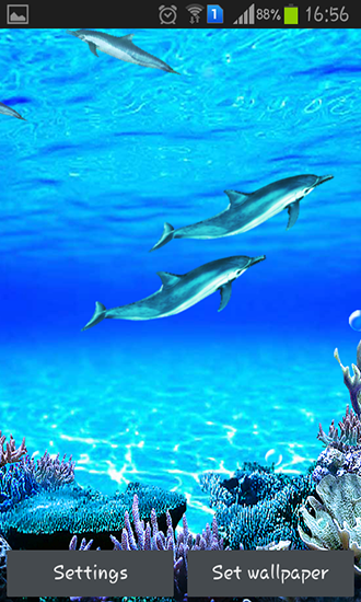Dolphins sounds - скачать живые обои на Андроид 4.0. .�.�. .�.�.�.�.�.�.�.� телефон бесплатно.