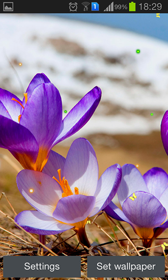 Скачать бесплатные живые обои Цветы для Андроид на рабочий стол планшета: Early spring: Nature.