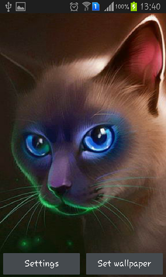 Скачать бесплатные живые обои Животные для Андроид на рабочий стол планшета: Egyptian cat.