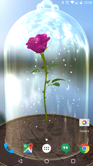 Скачать Enchanted Rose - бесплатные живые обои для Андроида на рабочий стол.