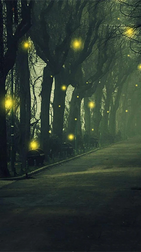 Скачать Fireflies by Jango LWP Studio - бесплатные живые обои для Андроида на рабочий стол.