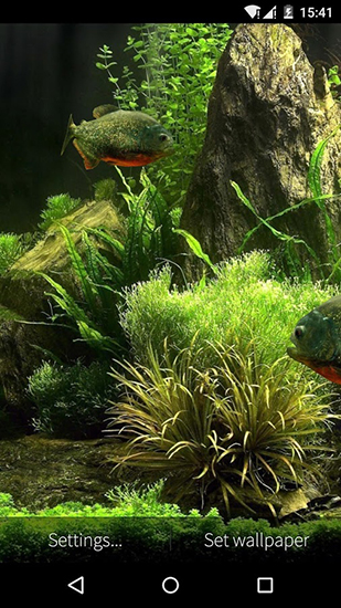 Скачать бесплатно живые обои Fish aquarium 3D на Андроид телефоны и планшеты.