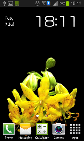 Flower bud - скачать живые обои на Андроид 4.0.3 телефон бесплатно.