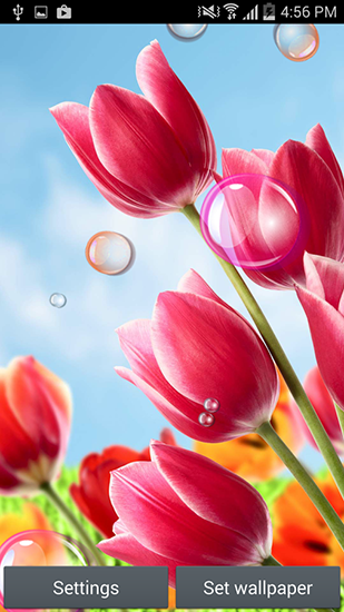 Скачать бесплатные живые обои Цветы для Андроид на рабочий стол планшета: Flowers 2015.