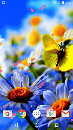 Скачать бесплатные живые обои Цветы для Андроид на рабочий стол планшета: Flowers by Phoenix Live Wallpapers.