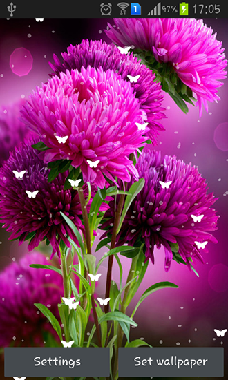 Скачать бесплатные живые обои Цветы для Андроид на рабочий стол планшета: Flowers by Stechsolutions.