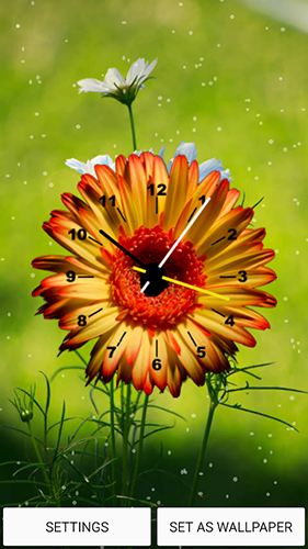 Скачать бесплатные живые обои С часами для Андроид на рабочий стол планшета: Flowers clock.