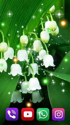 Скачать Forest lilies - бесплатные живые обои для Андроида на рабочий стол.