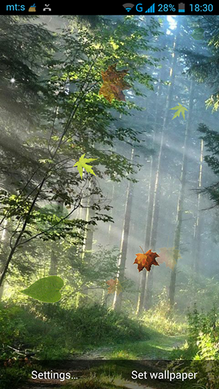 Скачать бесплатно живые обои Forest by Pro live wallpapers на Андроид телефоны и планшеты.