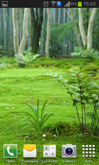 Forest landscape - скачать живые обои на Андроид 4.3 телефон бесплатно.