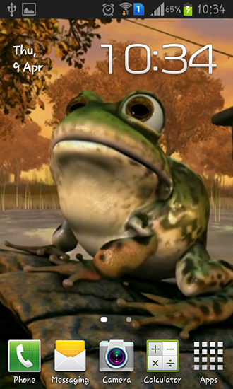 Скачать бесплатно живые обои Frog 3D на Андроид телефоны и планшеты.