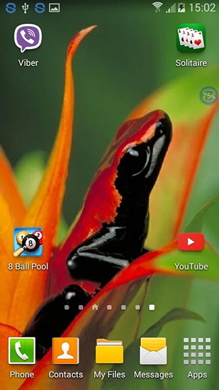 Скачать бесплатно живые обои Frogs: shake and change на Андроид телефоны и планшеты.