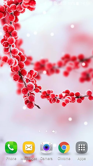 Скачать бесплатные живые обои Растения для Андроид на рабочий стол планшета: Frozen beauty: Winter tale.