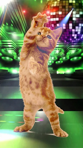 Скачать Funny pets: dancing and singing - бесплатные живые обои для Андроида на рабочий стол.
