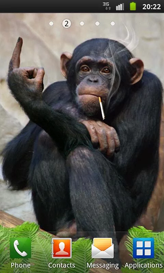 Скачать бесплатные живые обои Животные для Андроид на рабочий стол планшета: Funny monkey.