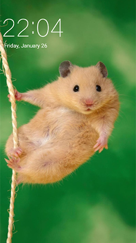 Скачать Hamster - бесплатные живые обои для Андроида на рабочий стол.