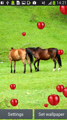 Скачать Horses by Latest Live Wallpapers - бесплатные живые обои для Андроида на рабочий стол.