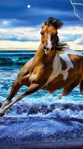 Скачать Horses by Pro Live Wallpapers - бесплатные живые обои для Андроида на рабочий стол.