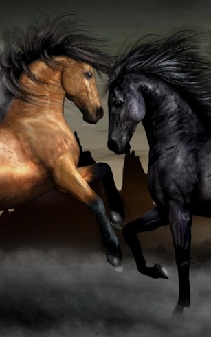 Скачать бесплатные живые обои Животные для Андроид на рабочий стол планшета: Horses.