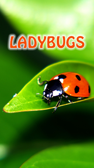 Скачать бесплатные живые обои Интерактивные для Андроид на рабочий стол планшета: Ladybugs.