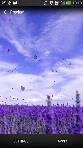 Скачать Lavender - бесплатные живые обои для Андроида на рабочий стол.