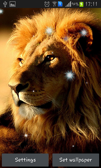 Lions - скачать живые обои на Андроид 4.0 телефон бесплатно.