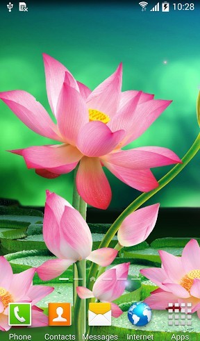 Скачать бесплатные живые обои Цветы для Андроид на рабочий стол планшета: Lotus.
