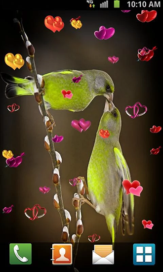Скачать бесплатно живые обои Love: Birds на Андроид телефоны и планшеты.