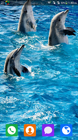 Скачать бесплатные живые обои Животные для Андроид на рабочий стол планшета: Lovely dolphin.