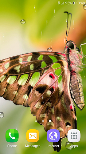 Скачать Macro butterflies - бесплатные живые обои для Андроида на рабочий стол.