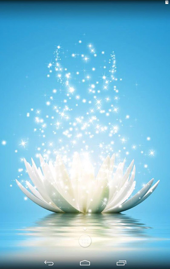 Скачать бесплатные живые обои Цветы для Андроид на рабочий стол планшета: Magic water lilies.