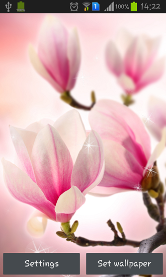 Скачать бесплатные живые обои Цветы для Андроид на рабочий стол планшета: Magnolia.