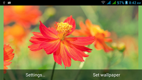 Скачать Nature HD by Live Wallpapers Ltd. - бесплатные живые обои для Андроида на рабочий стол.