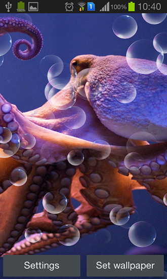 Скачать бесплатные живые обои Животные для Андроид на рабочий стол планшета: Octopus.