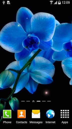Скачать бесплатные живые обои Цветы для Андроид на рабочий стол планшета: Orchids.