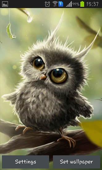 Скачать бесплатно живые обои Owl chick на Андроид телефоны и планшеты.