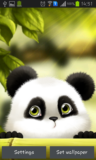 Panda - скачать живые обои на Андроид 4.4.2 телефон бесплатно.