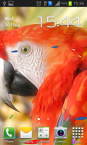 Скачать бесплатные живые обои Животные для Андроид на рабочий стол планшета: Parrot by TTR.