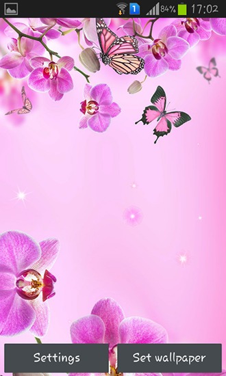 Pink flowers - скачать живые обои на Андроид 5.0 телефон бесплатно.