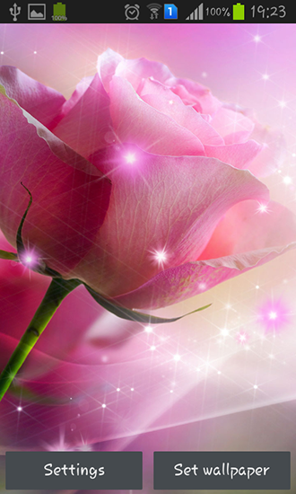 Скачать бесплатные живые обои для Андроид на рабочий стол планшета: Pink roses.