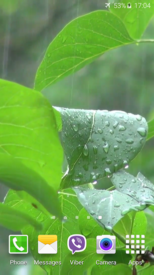 Скачать бесплатные живые обои Растения для Андроид на рабочий стол планшета: Rainstorm.
