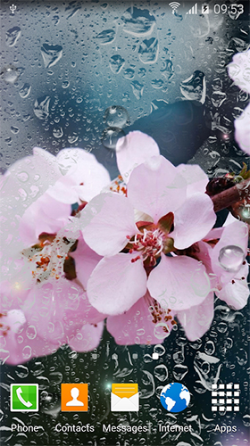 Скачать Rainy flowers - бесплатные живые обои для Андроида на рабочий стол.