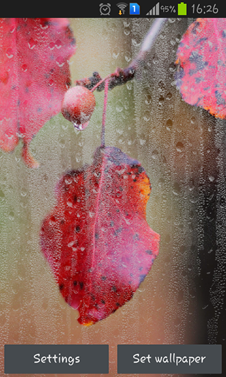 Rainy autumn - скачать живые обои на Андроид 4.0. .�.�. .�.�.�.�.�.�.�.� телефон бесплатно.