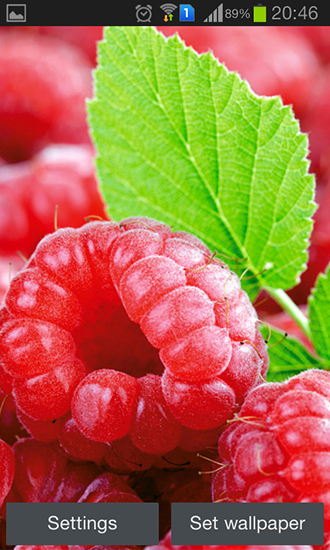 Скачать бесплатные живые обои Фрукты/еда для Андроид на рабочий стол планшета: Raspberries.