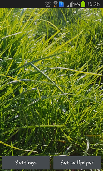 Скачать бесплатные живые обои Растения для Андроид на рабочий стол планшета: Real grass.