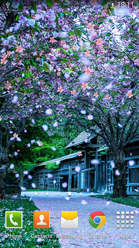 Скачать Sakura by orchid - бесплатные живые обои для Андроида на рабочий стол.