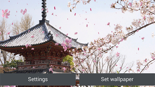 Скачать Sakura garden - бесплатные живые обои для Андроида на рабочий стол.
