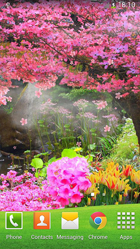 Скачать бесплатные живые обои Пейзаж для Андроид на рабочий стол планшета: Sakura by orchid.