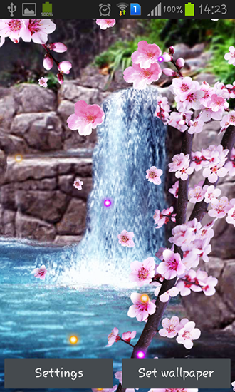 Скачать бесплатные живые обои Цветы для Андроид на рабочий стол планшета: Sakura: Waterfall.